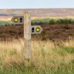 Great Ayton Walks 2