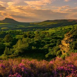 Holiday Cottages With Hot Tubs in North Yorkshire