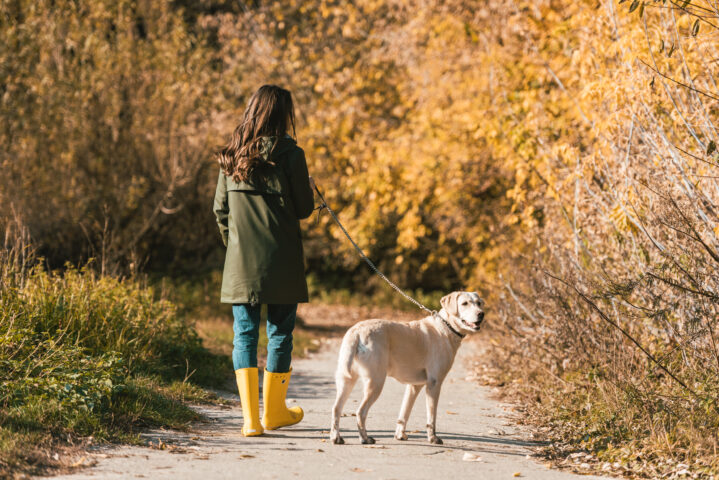 walking the dog